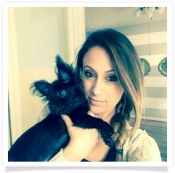 Skeeter the Chihuahua in his Happy Home!